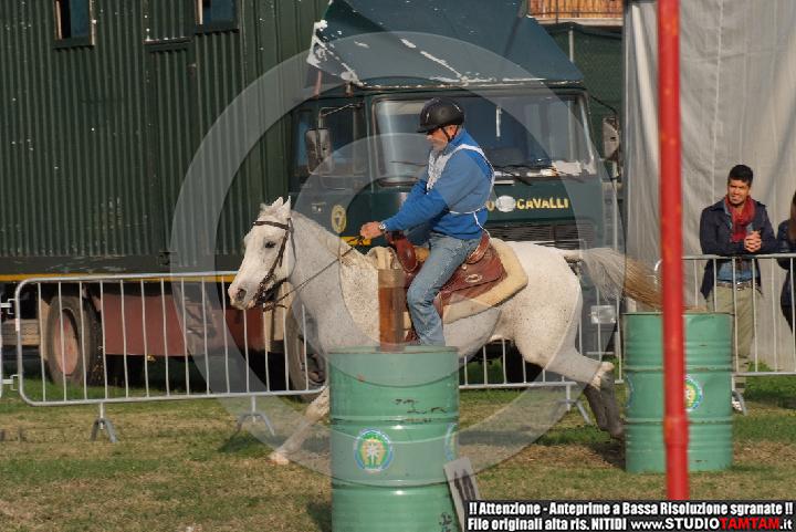 DSCF7377.JPG