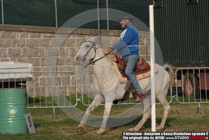 DSCF7378.JPG