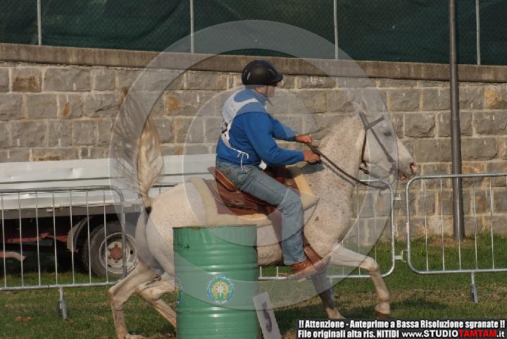 DSCF7379.JPG