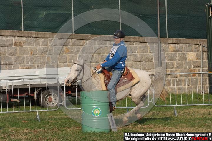 DSCF7381.JPG