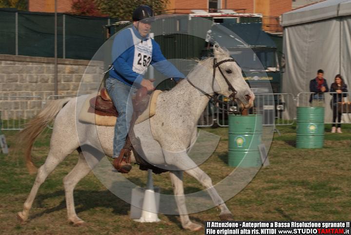 DSCF7382.JPG