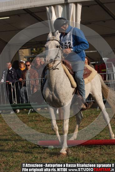 DSCF7387.JPG