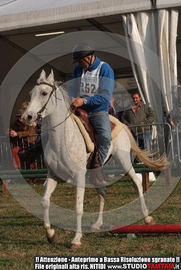 DSCF7388.JPG
