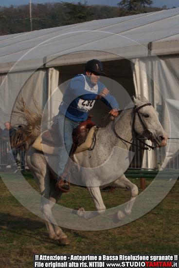 DSCF7391.JPG