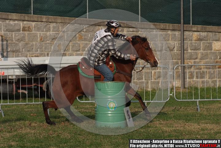 DSCF7399.JPG