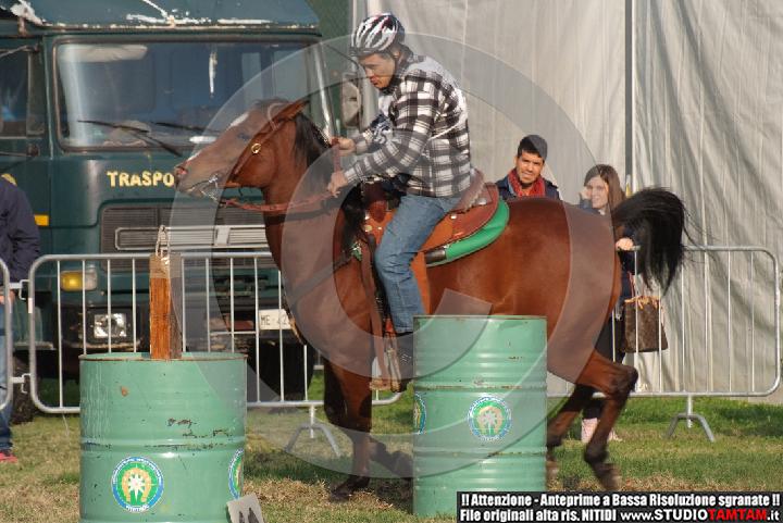 DSCF7400.JPG