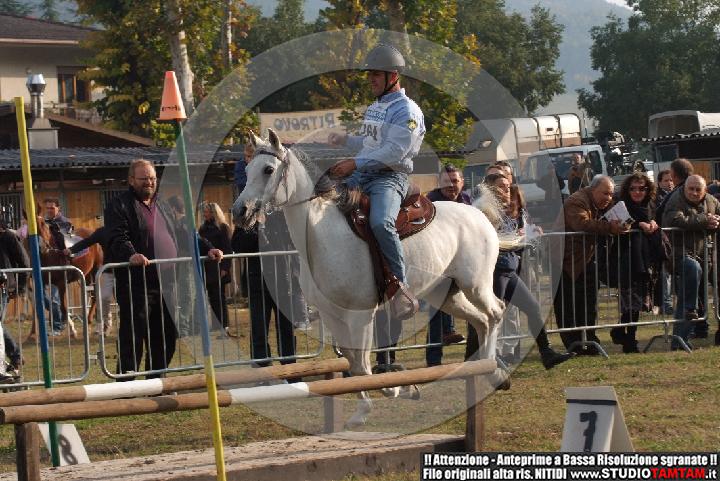 DSCF7414.JPG