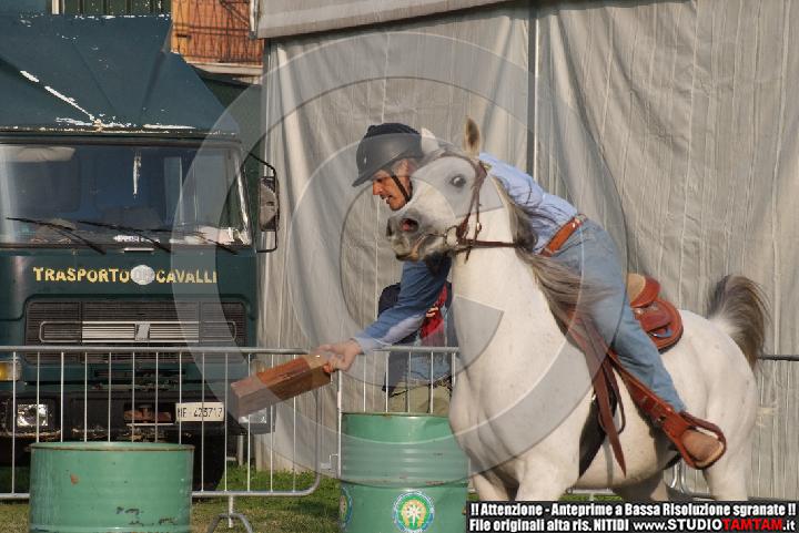 DSCF7427.JPG