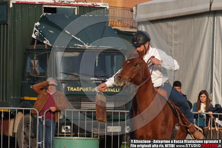 DSCF7446.JPG