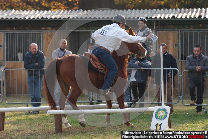 DSCF7449.JPG