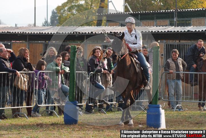 DSCF7450.JPG
