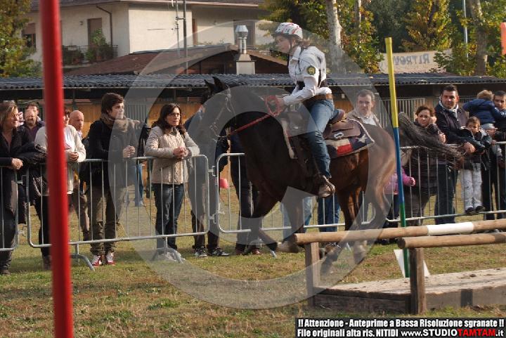 DSCF7452.JPG