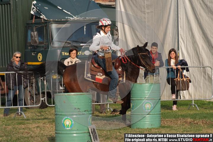DSCF7468.JPG