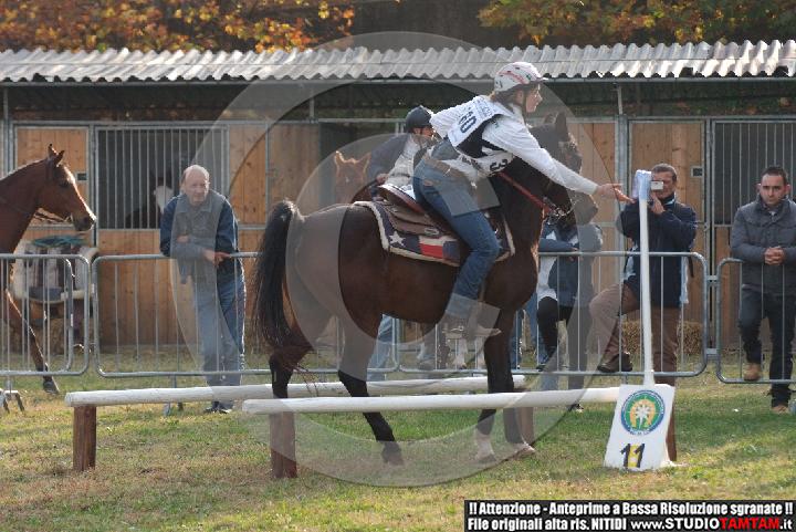 DSCF7472.JPG