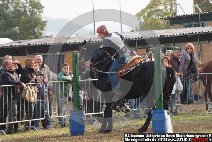 DSCF7473.JPG