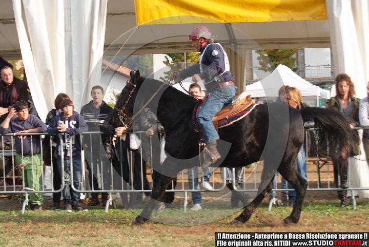 DSCF7477.JPG