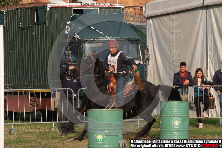 DSCF7489.JPG