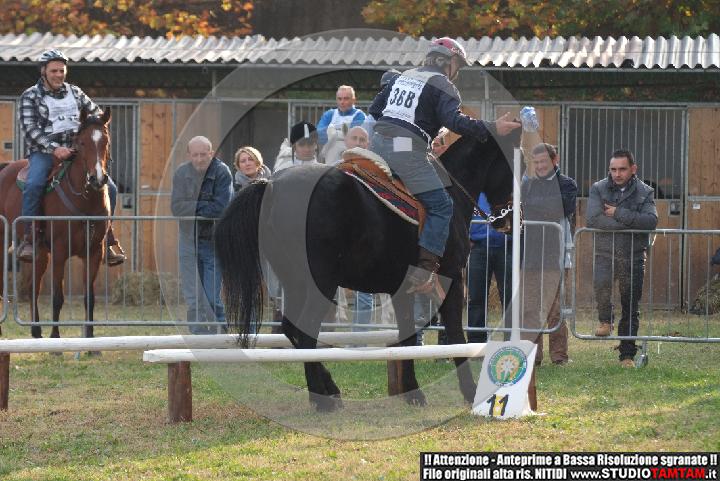 DSCF7493.JPG