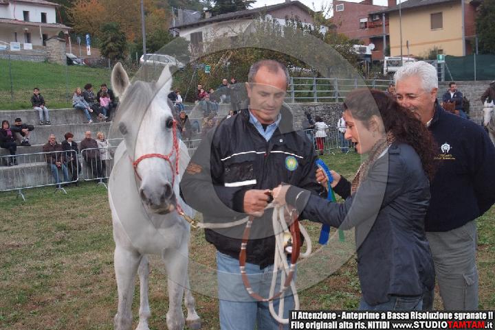 DSCF7577.JPG