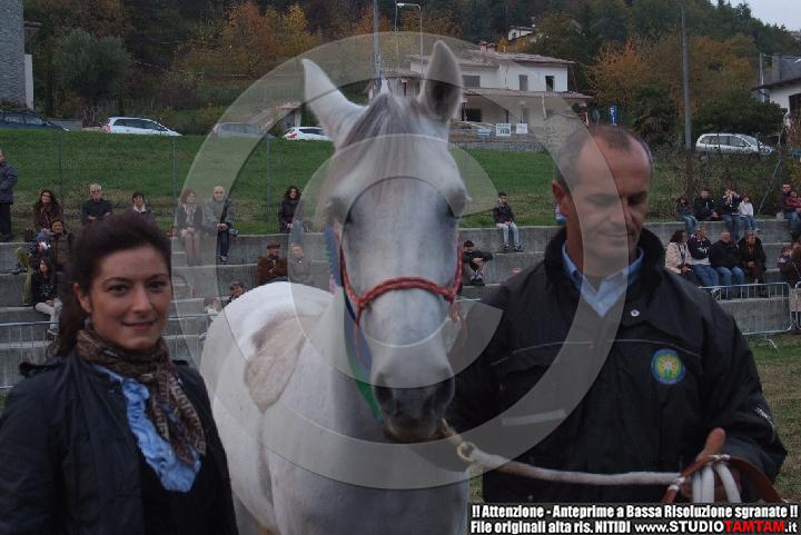 DSCF7580.JPG