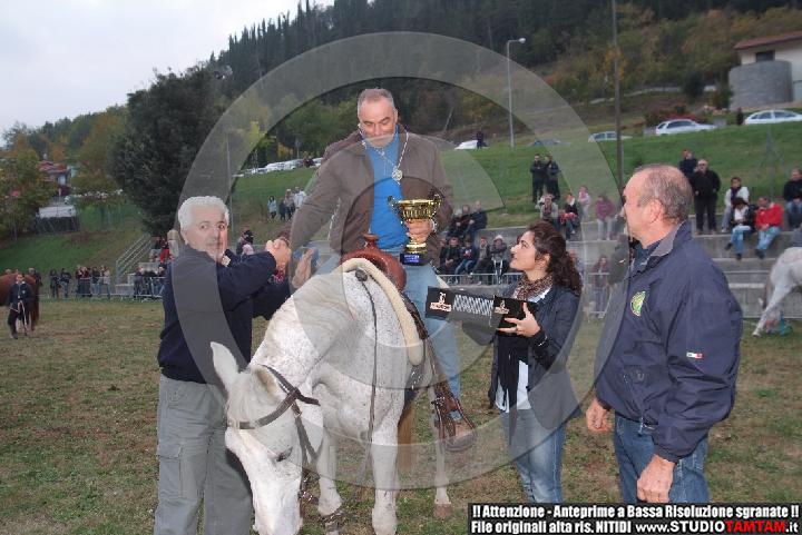 DSCF7594.JPG
