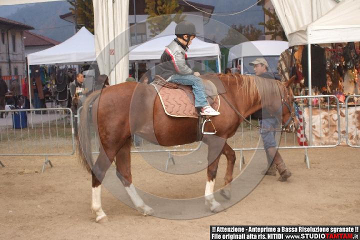 DSCF8125.JPG