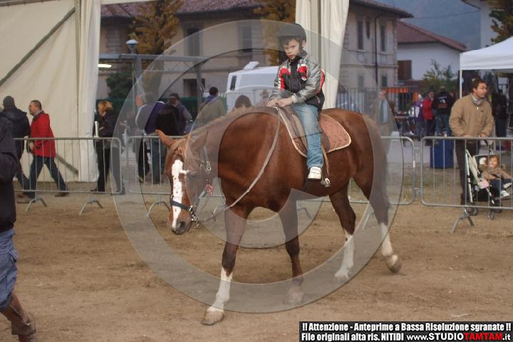 DSCF8126.JPG