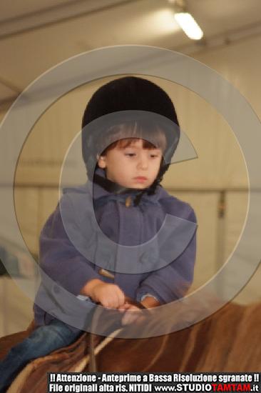 DSCF8130.JPG