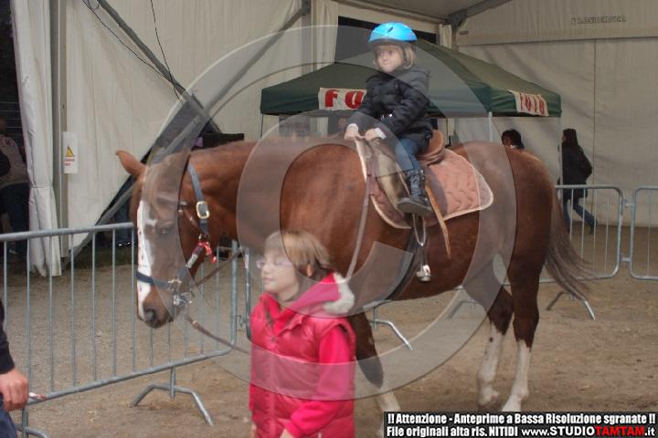 DSCF8141.JPG