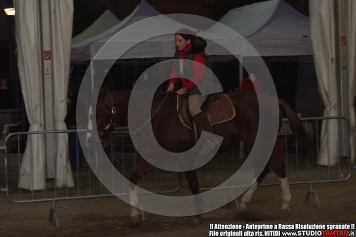 DSCF8157.JPG