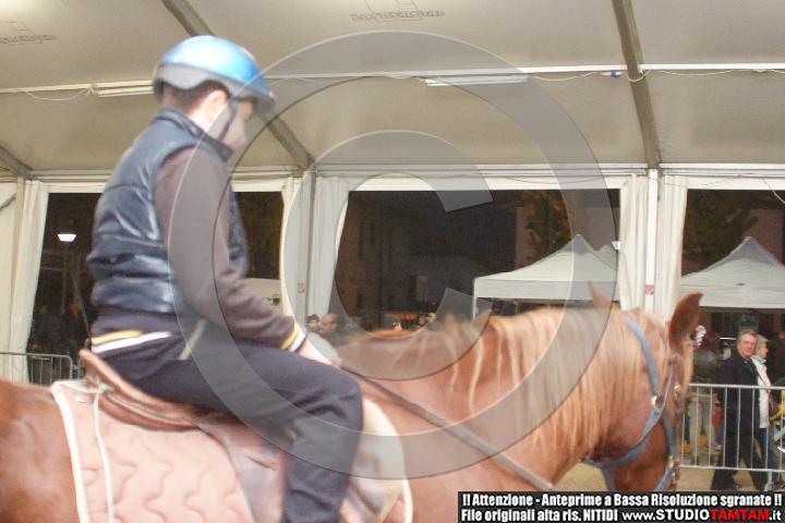DSCF8179.JPG