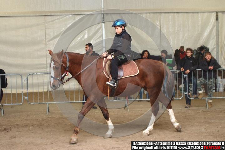 DSCF8180.jpg