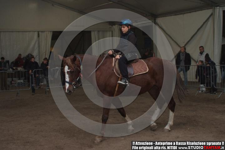 DSCF8181.JPG