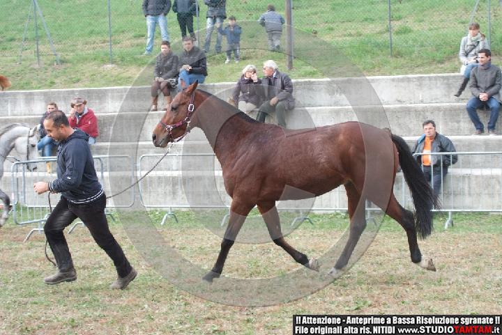 DSCF7765.JPG