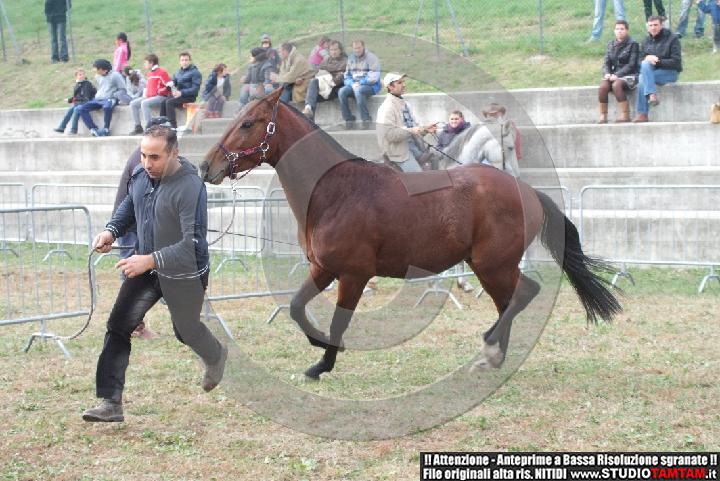 DSCF7766.JPG