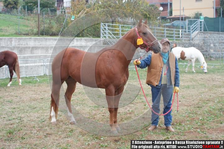 DSCF7876.JPG