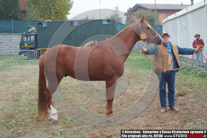 DSCF7880.JPG