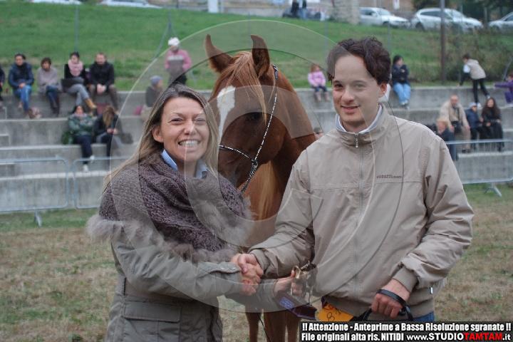 DSCF8034.JPG