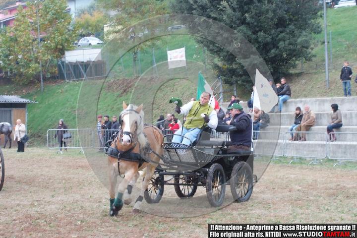 DSCF8093.JPG