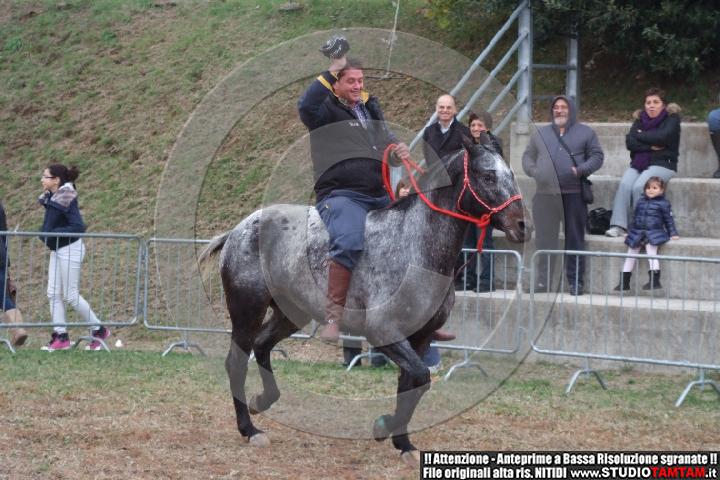 DSCF8118.JPG