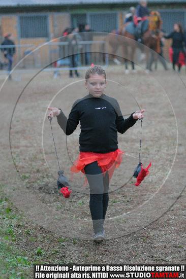 IMG_8856.JPG