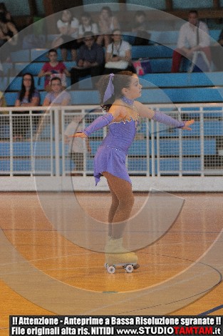 IMGB0537.JPG