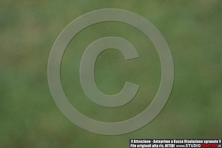 IMGB4760.JPG