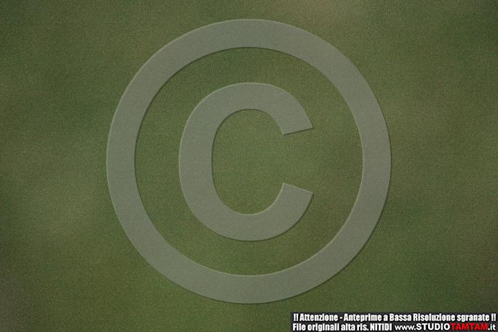 IMGB2445.JPG