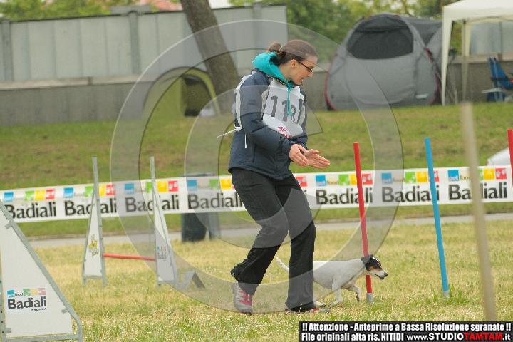 IMGB2914.JPG