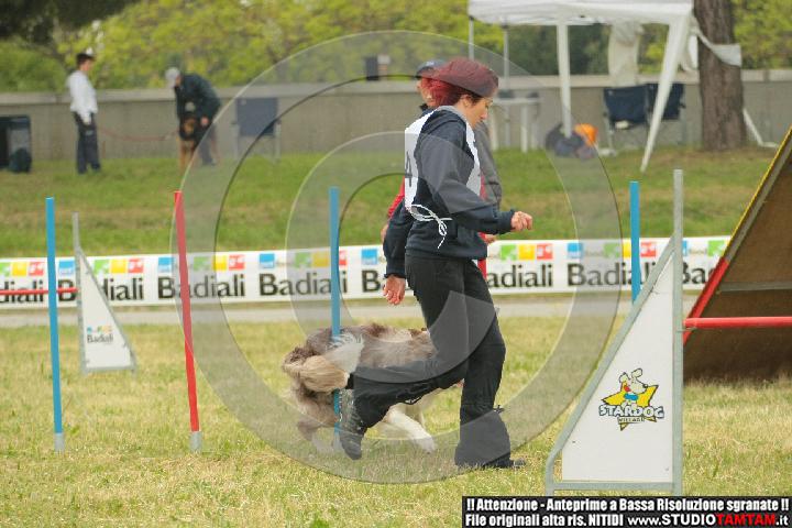 IMGB2698.JPG