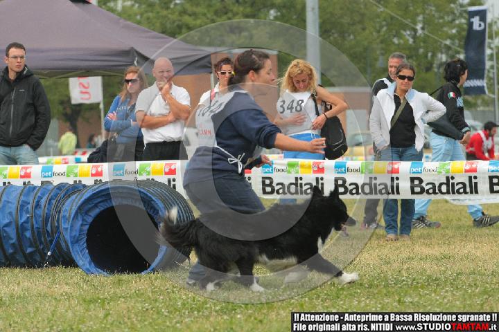IMGB4464.JPG
