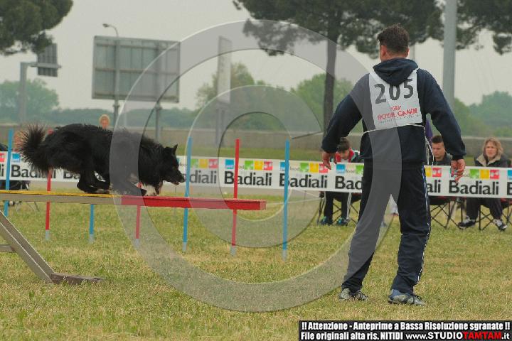 IMGB8516.JPG