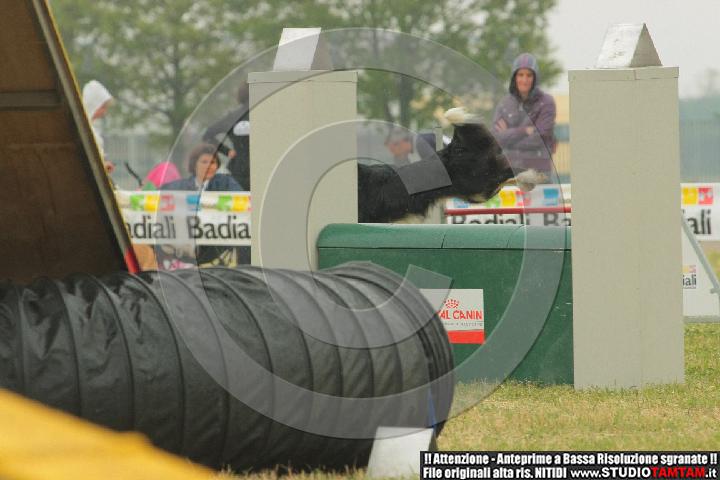 IMGB8879.JPG