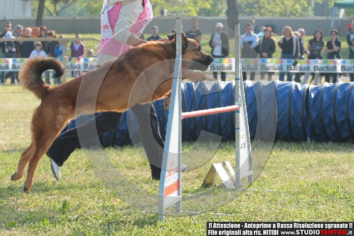 IMGB2005.JPG